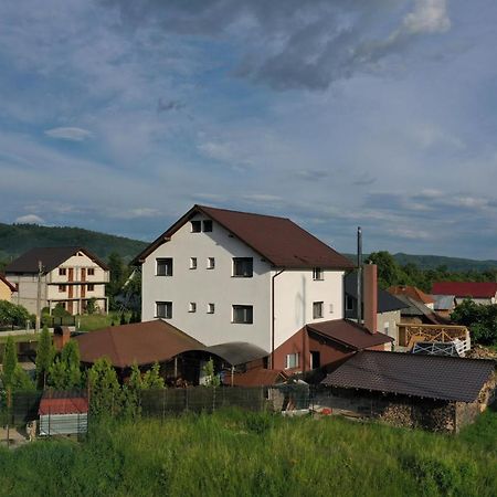 Pensiunea Lacul Albesti Albestii Paminteni Exterior foto