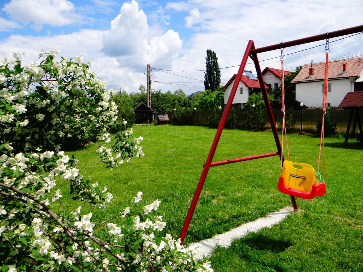 Pensiunea Lacul Albesti Albestii Paminteni Exterior foto