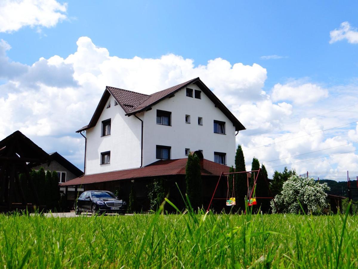Pensiunea Lacul Albesti Albestii Paminteni Exterior foto