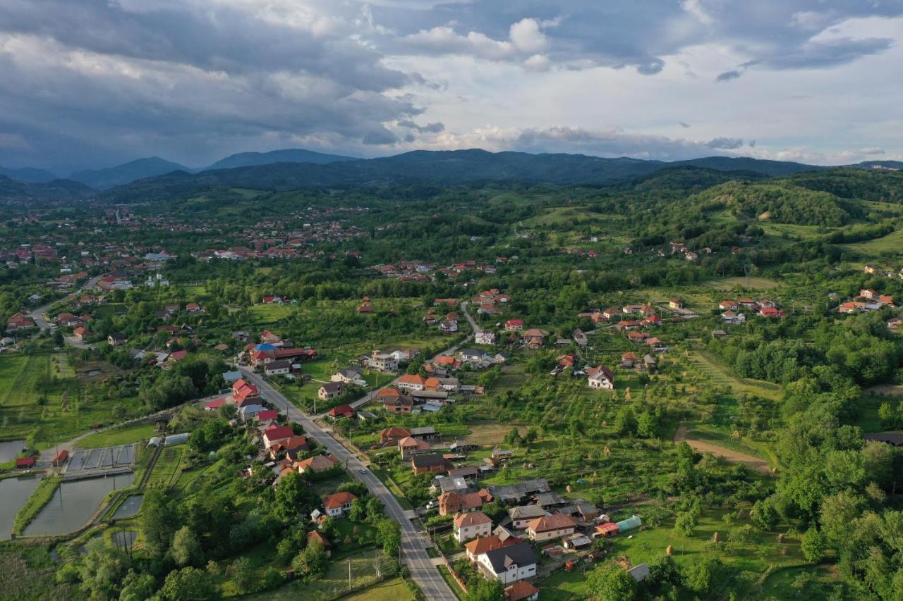 Pensiunea Lacul Albesti Albestii Paminteni Exterior foto