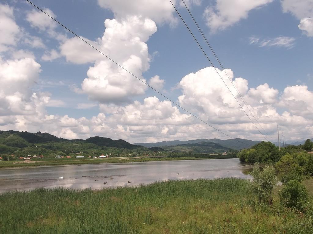 Pensiunea Lacul Albesti Albestii Paminteni Exterior foto